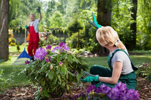 Inspector conducting a safety audit on a landscaping site