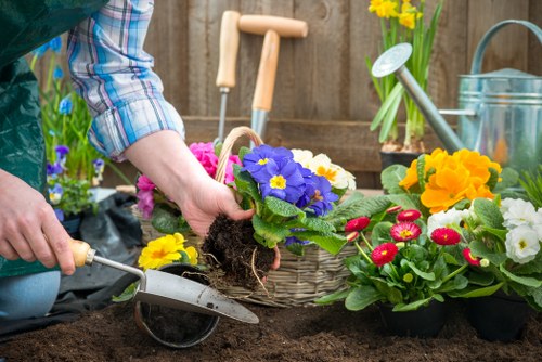 Senior manager reviewing appeal documents for a garden service dispute